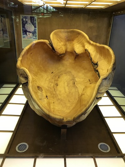 블루릿지 이미지