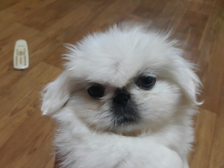 쮸쮸 이미지