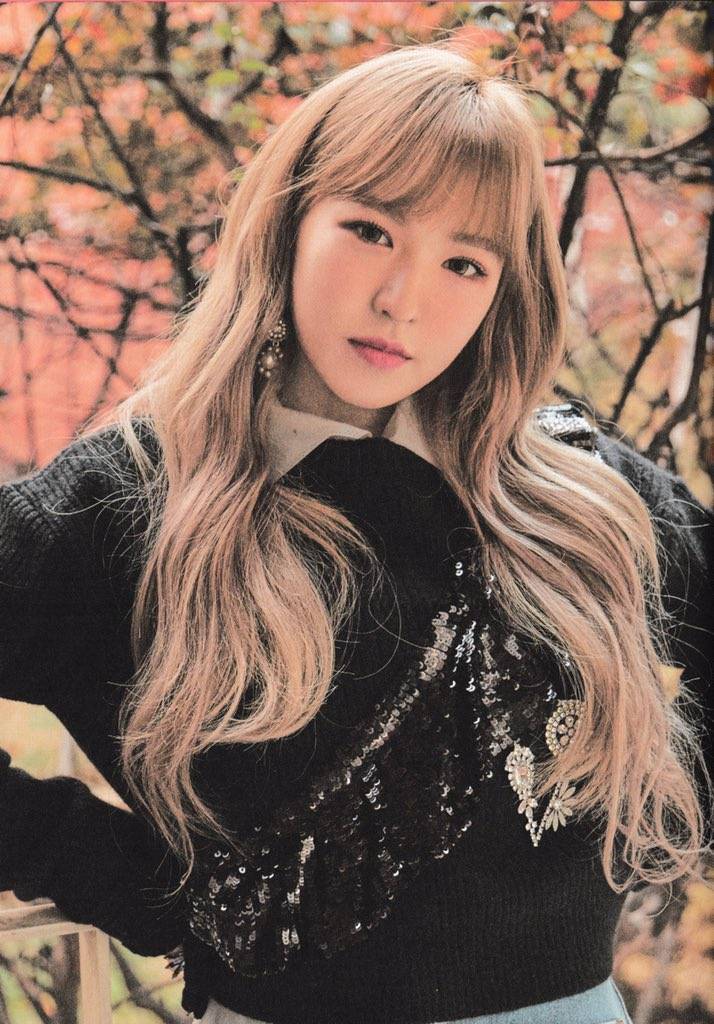 레드벨벳 시즌 그리팅 이미지(30장) | 인스티즈