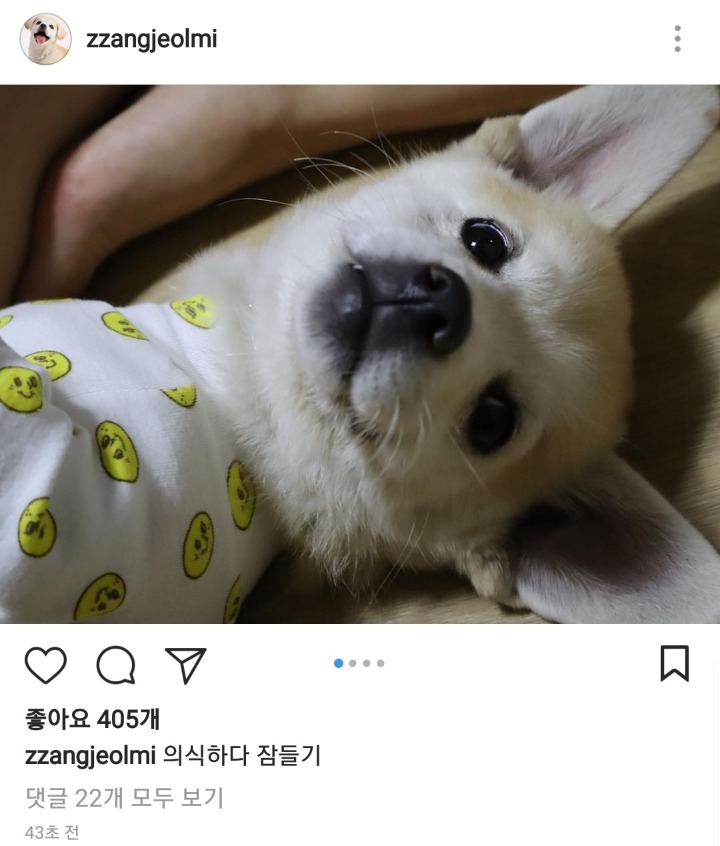 잠드는 짱절미.jpg | 인스티즈