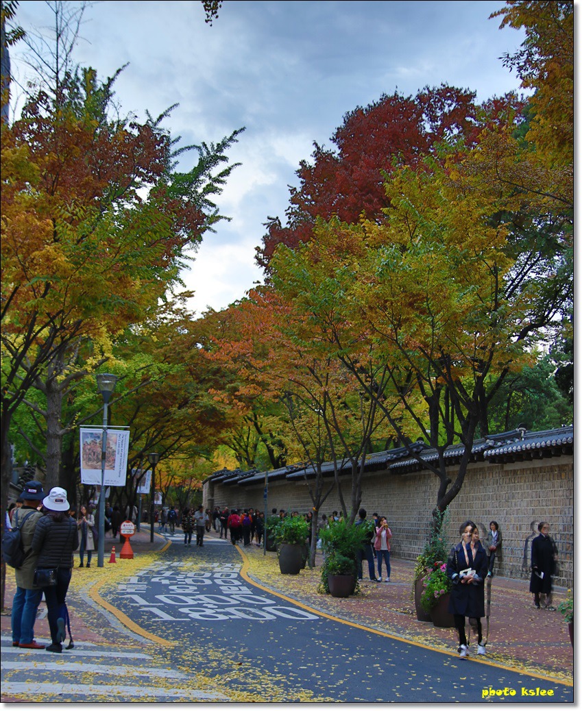 덕수 이미지