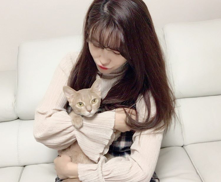 오늘자 고양이 생일파티 해준 전효성 ㅋㅋㅋㅋㅋㅋㅋㅋㅋ | 인스티즈