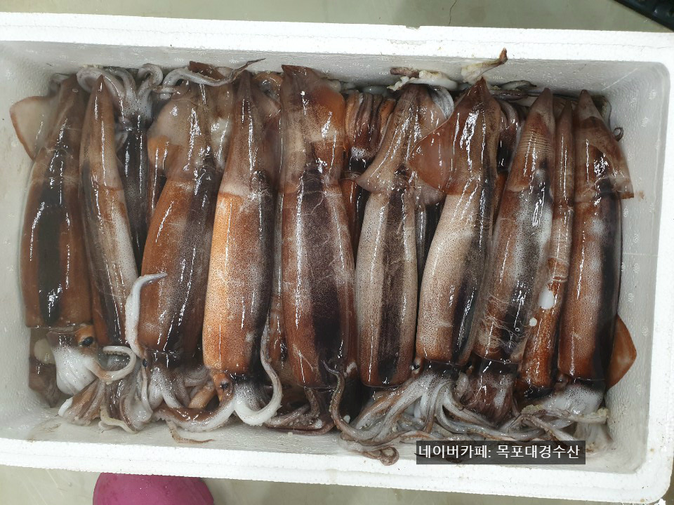 (주)대경수산 이미지