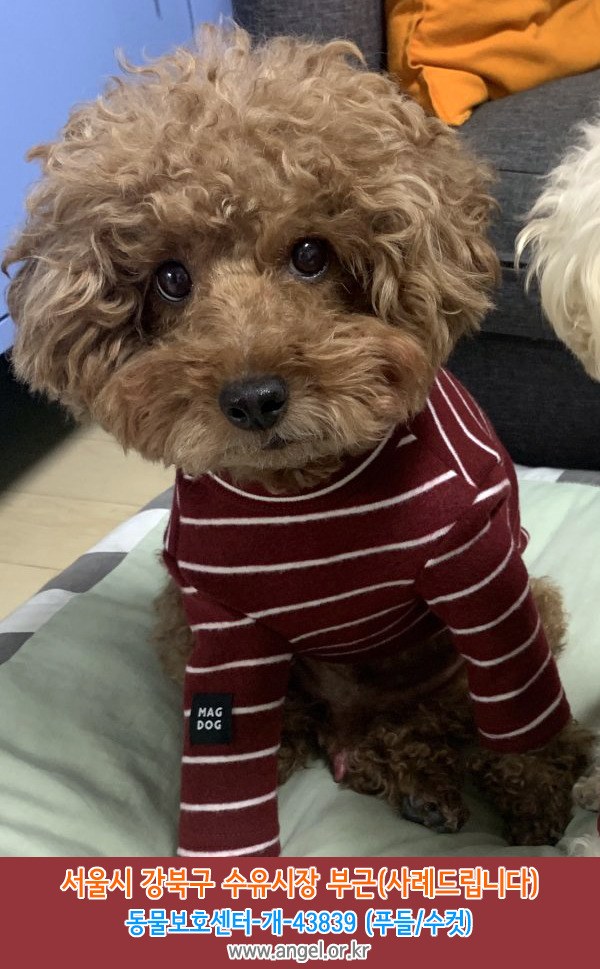 수유시장 이미지