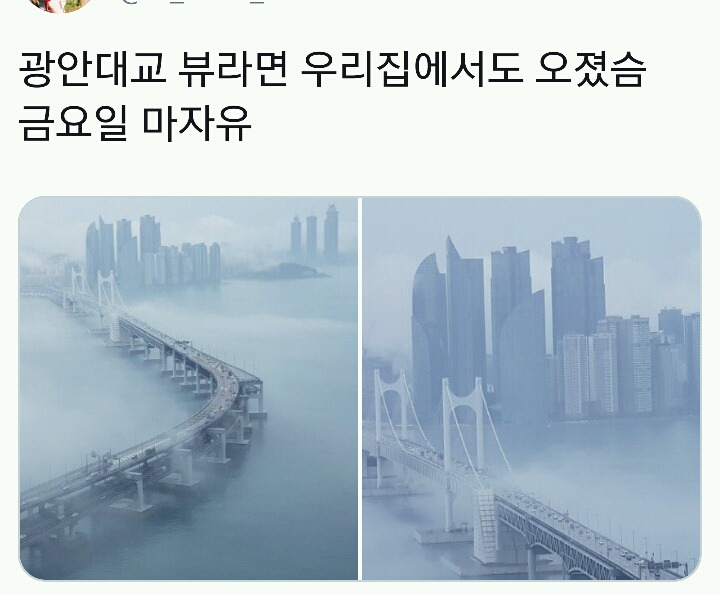 지난 금요일 광안대교 경치.twt | 인스티즈