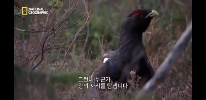 분노조절을 잘 해야하는 이유 | 인스티즈