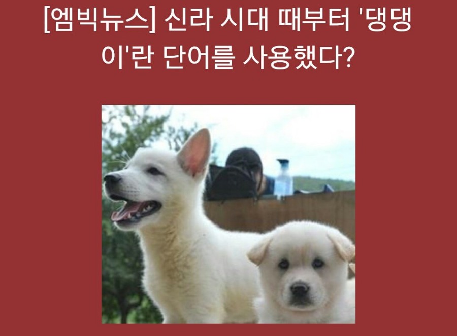 댕댕이는 신라시대 때부터 쓰던 말? | 인스티즈