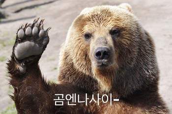 생각보다 직립보행을 잘하는 동물친구.jpgif | 인스티즈