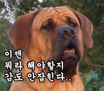인 이미지