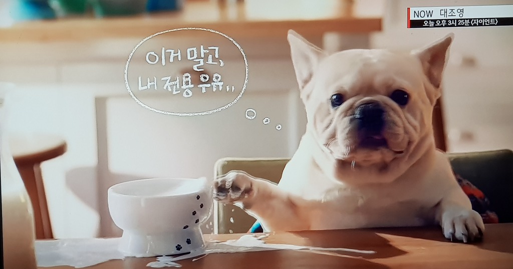 소운 이미지