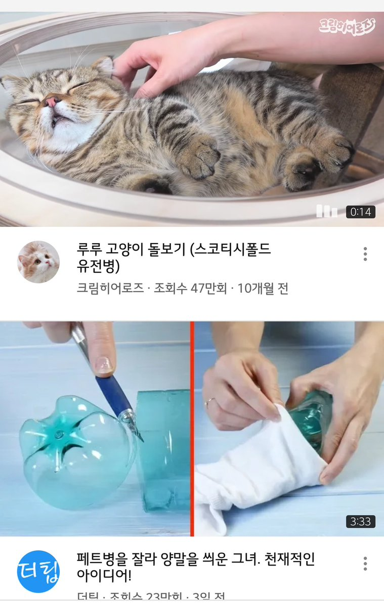 껄룩: 도...망...가...집...사... | 인스티즈