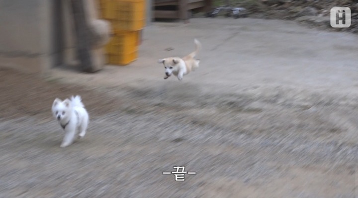 만나 이미지