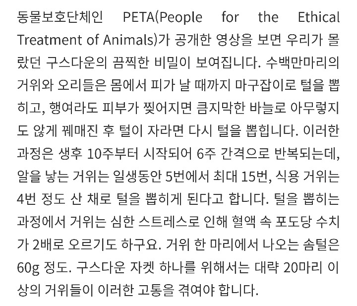 아 롱패딩 살건데 걍..따뜻한거 아무거나 사도 되겠지? 이쁜걸로 ㅎㅎ | 인스티즈