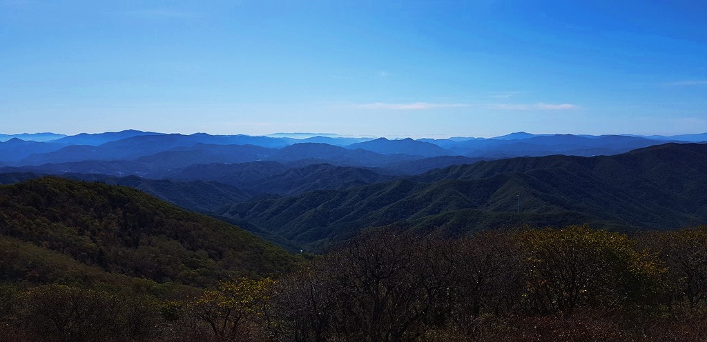 깍까머리 이미지