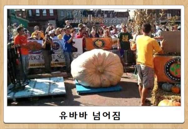 제목학원 레전드.jpg | 인스티즈