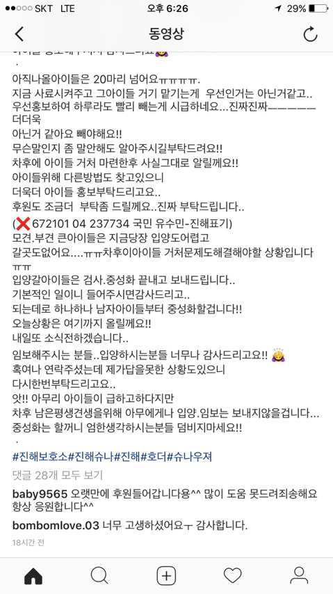 진해유기동물 보호소에 한꺼번에 몇십마리 슈나우저가 구조되어 들어왔어. 하필이면 계속 내리는 비에 온몸이 젖어 덜덜덜 떨고 있대... 한번만 봐줘 | 인스티즈
