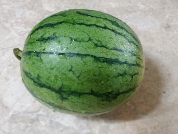 Daum카페