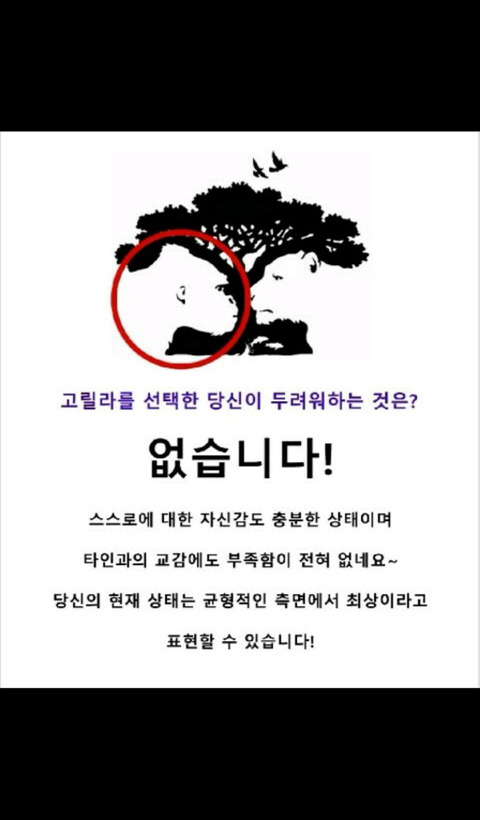 따분한 오후 심리테스트 모음 | 인스티즈