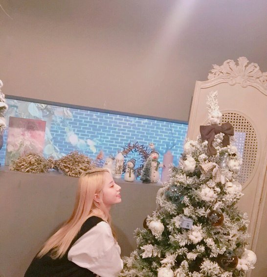 보나 : "공부해야 나랑 살지?" (우주소녀) | 인스티즈