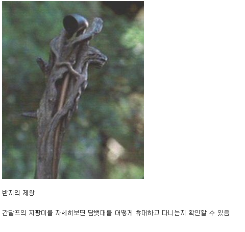 당신이 놓친 영화 속 숨겨진 장면과 의미들 | 인스티즈