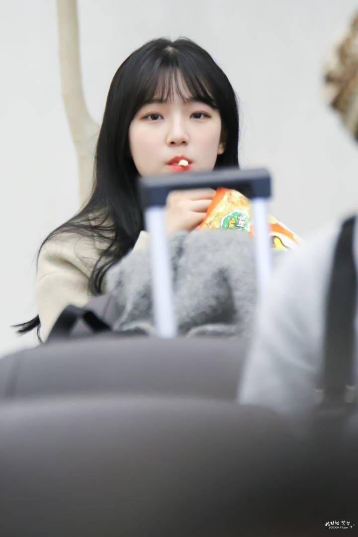 사심이 이미지