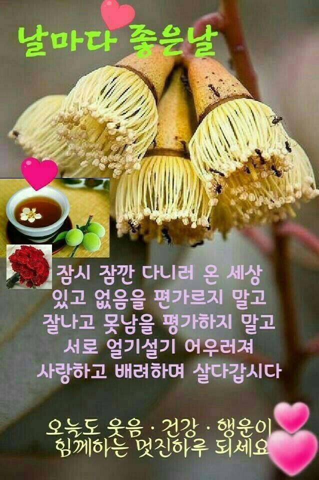 날마다좋은날 이미지