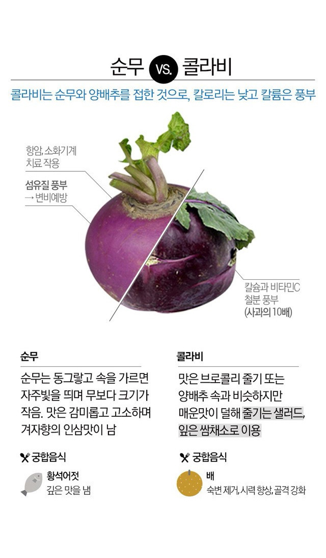 파프리카와 피망의 차이 | 인스티즈