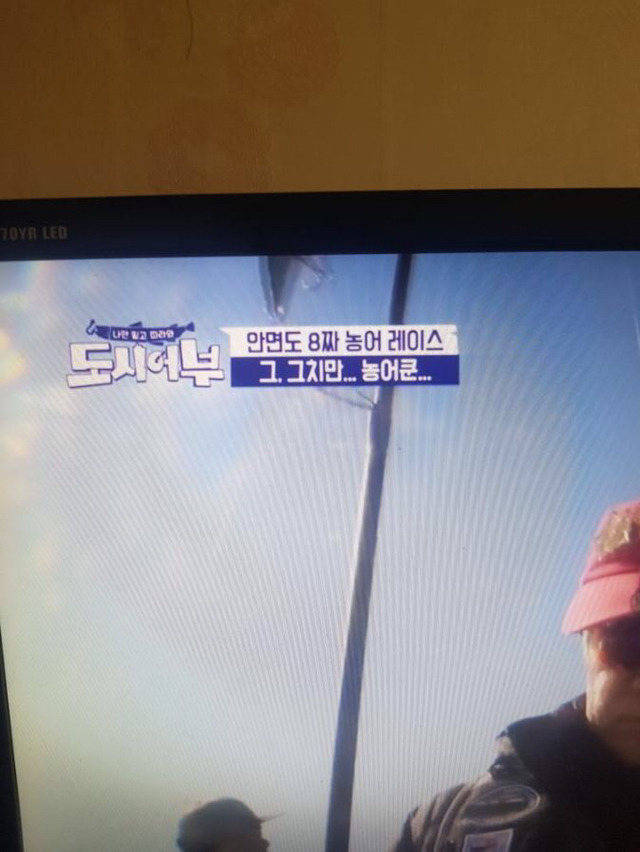 누가 도시어부 편집자 인터넷 선좀 끊어라!.jpg | 인스티즈