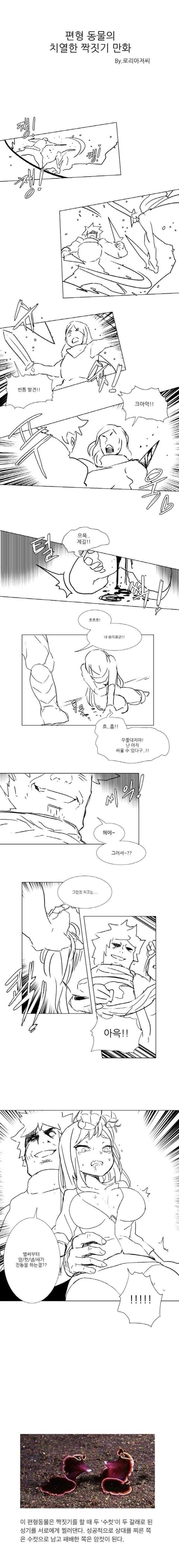 짝짓기하는 만화.jpg | 인스티즈