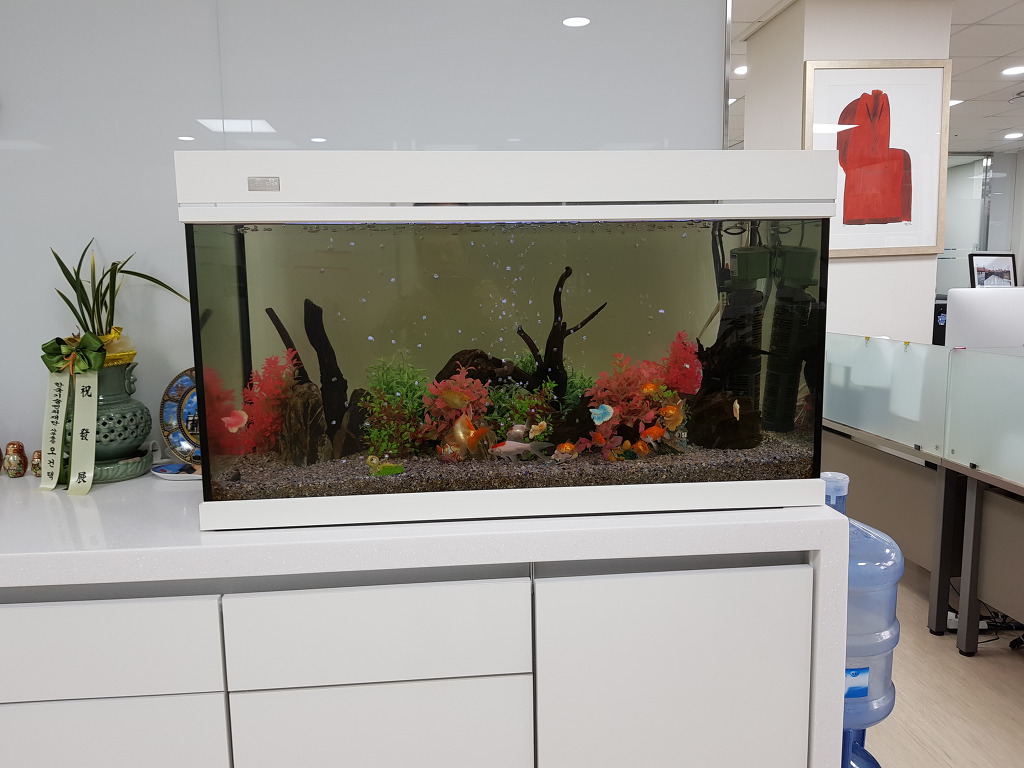 피쉬마트수족관 이미지