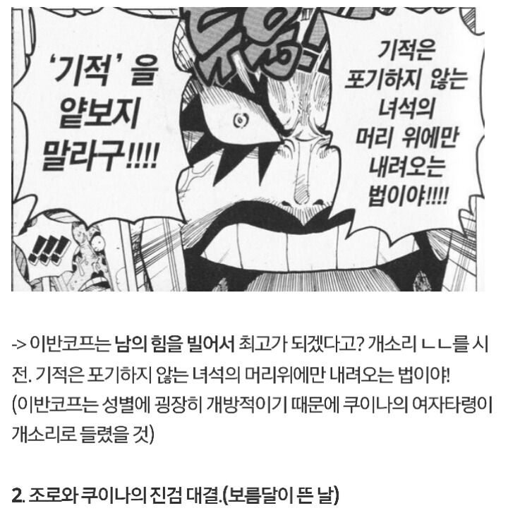 원피스 쿠이나 재등장 썰 | 인스티즈