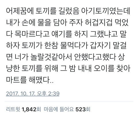 귀여운 토끼꿈.twt | 인스티즈
