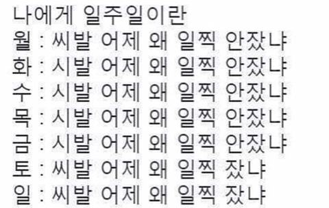 나에게 일주일이란.jpg | 인스티즈
