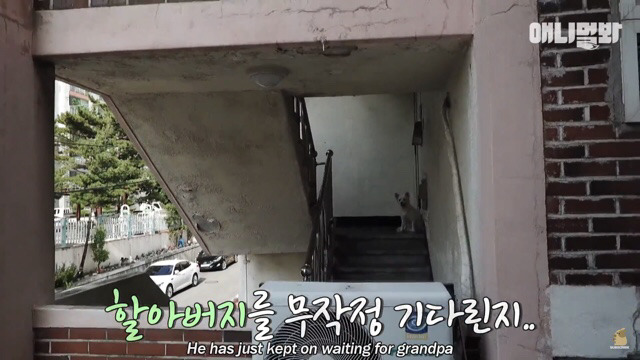 주인님이 열흘 째 문을 열어주지 않아요.. (캡쳐) | 인스티즈