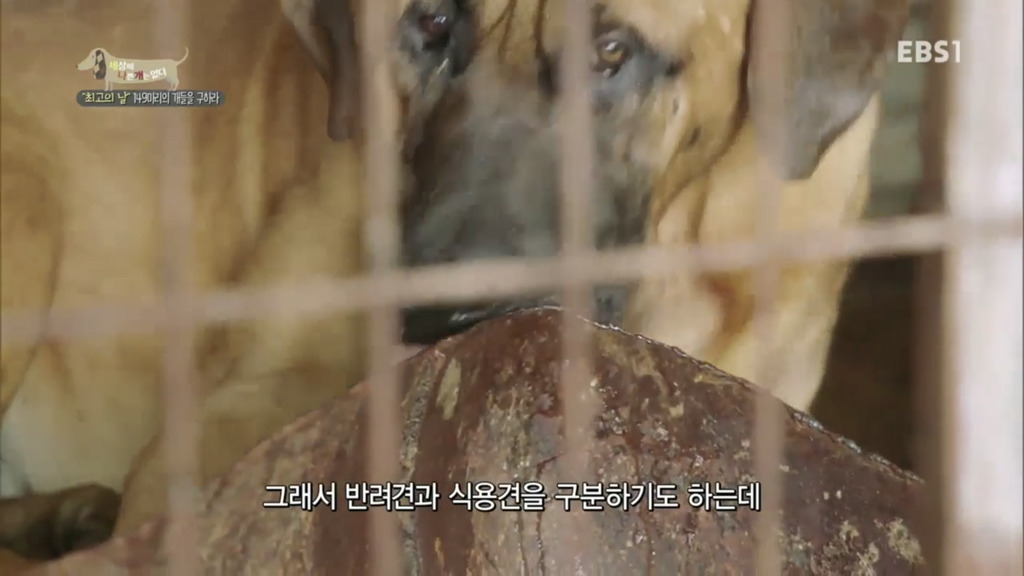 어떻게 사람을 그렇게 좋아할 수 있죠? | 인스티즈