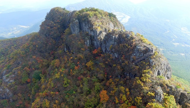 사진기자들이 포착한 2017년 단풍들.jpg | 인스티즈