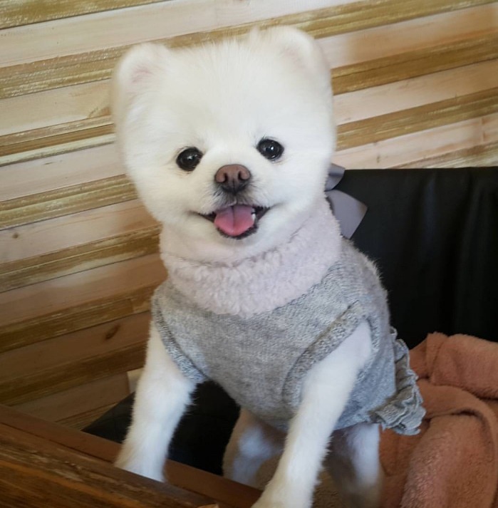 달팽이가 물 마시는 방법 | 인스티즈