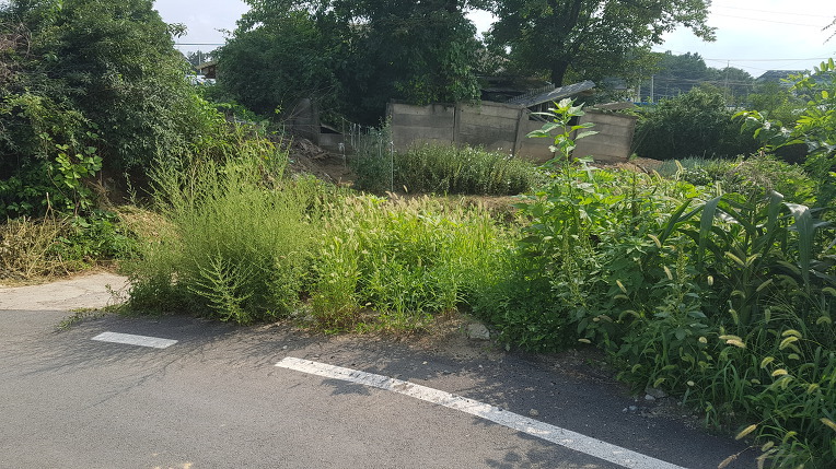 (주)대지 이미지