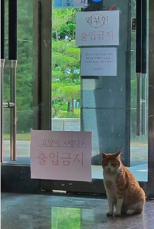 외부인 출입금지 그리고 | 인스티즈