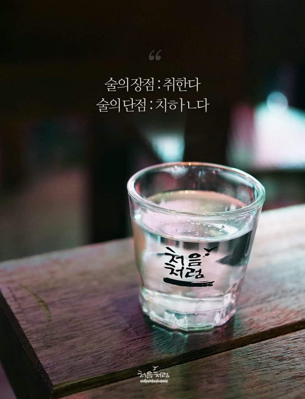 지교 이미지