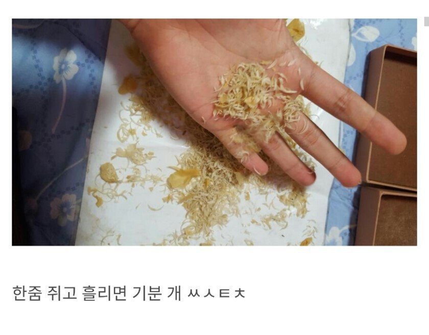 손발톱 모으는 디씨인 | 인스티즈