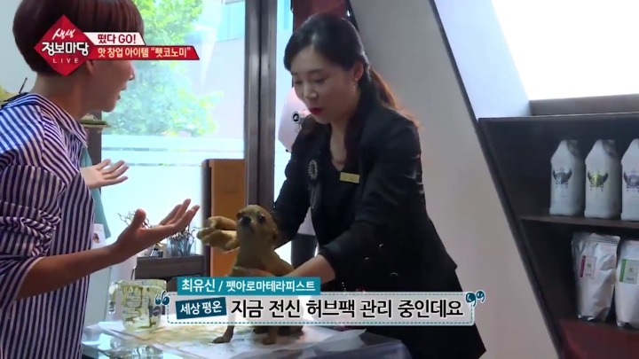 강아지 아로마테라피.jpg | 인스티즈