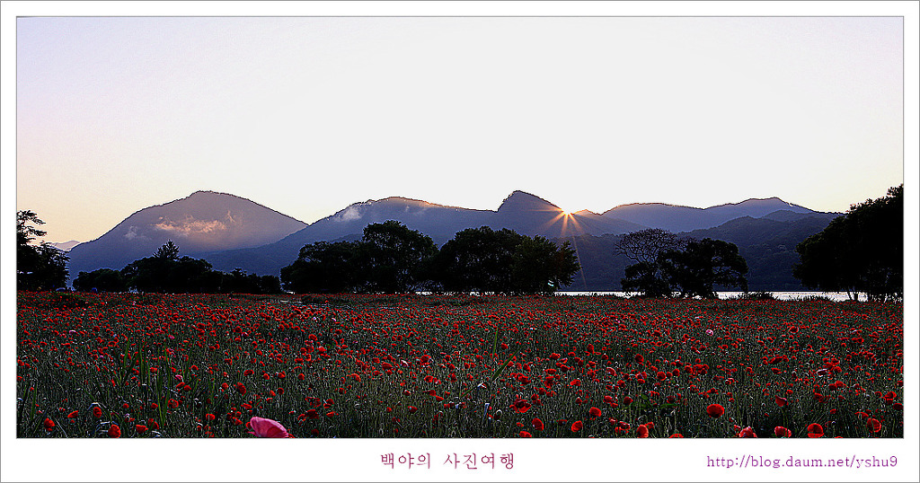 햇살꽃정원 이미지
