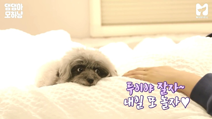 99C9723F5F11BFFF2E3C54