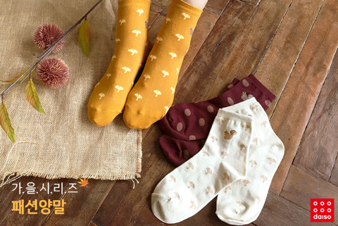다이소 가을 시리즈 신상.jpg | 인스티즈