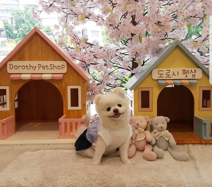 다시보는 세경고등학교 급식 | 인스티즈