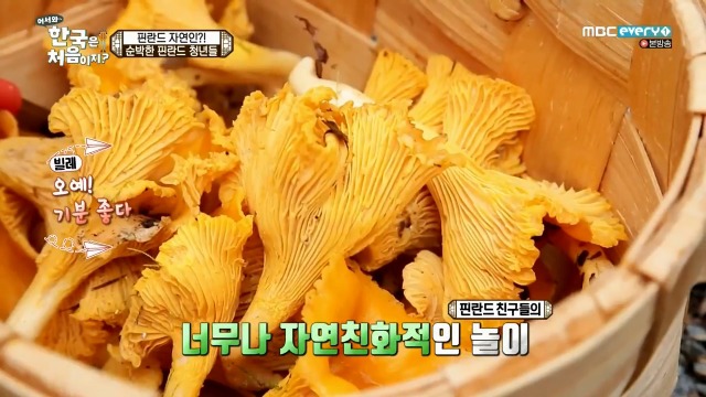 [어서와~한국은처음이지?] 핀란드 20대男들의 유흥문화 | 인스티즈