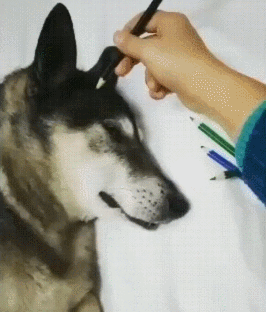 여러가지 짤들 모음이에요 자기 전에 보시라고ㅎㅎ | 인스티즈