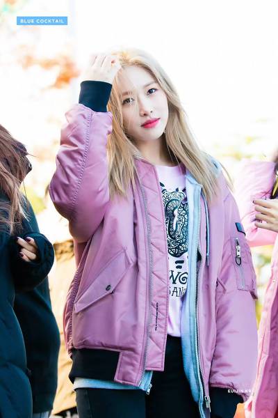소나무 의진.jpg | 인스티즈