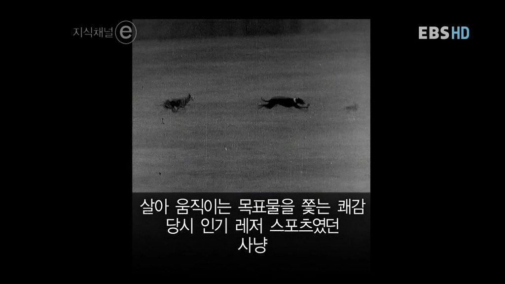 호주의 토끼전쟁 | 인스티즈
